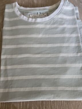 Denim & Flower Striped Short Sleeve Tee in Light Gray and White